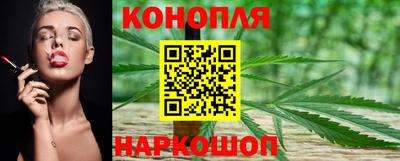бошки Будённовск