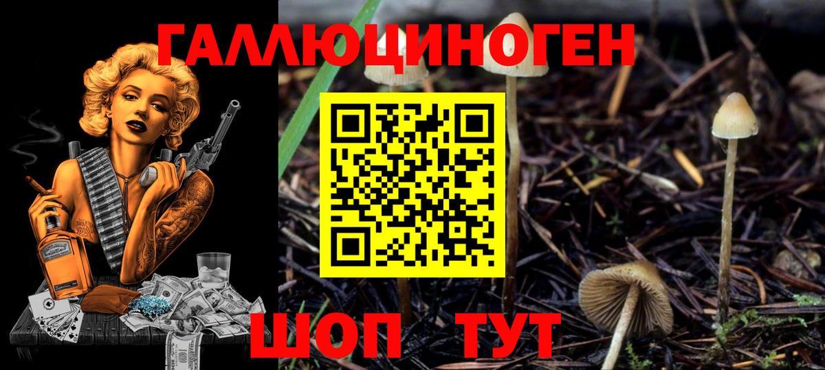Светлоград  Галлюциногенные грибы мицелий  Вход с VPN 
