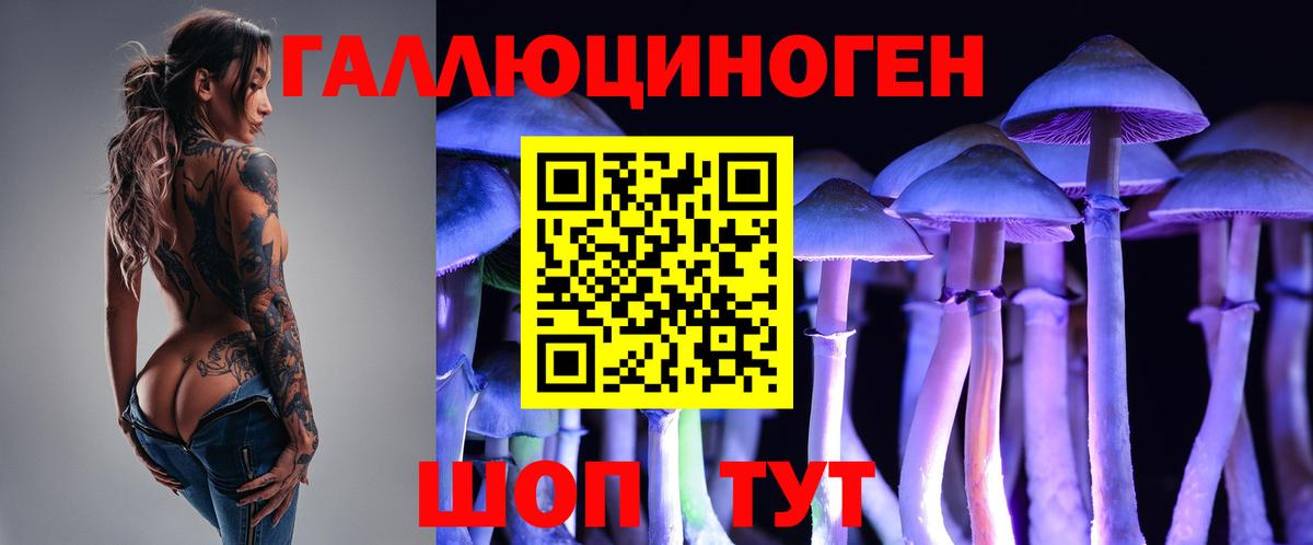 Галлюциногенные грибы прущие грибы Светлоград