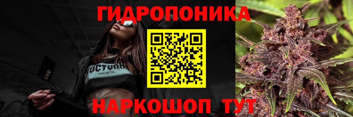 Бошки марихуана сатива Светлоград
